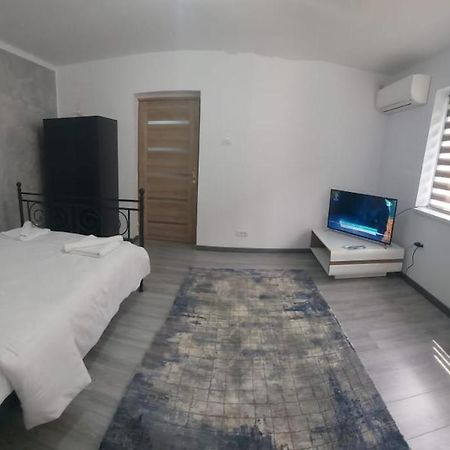 Andi 2-Apartament Băile Herculane Extérieur photo